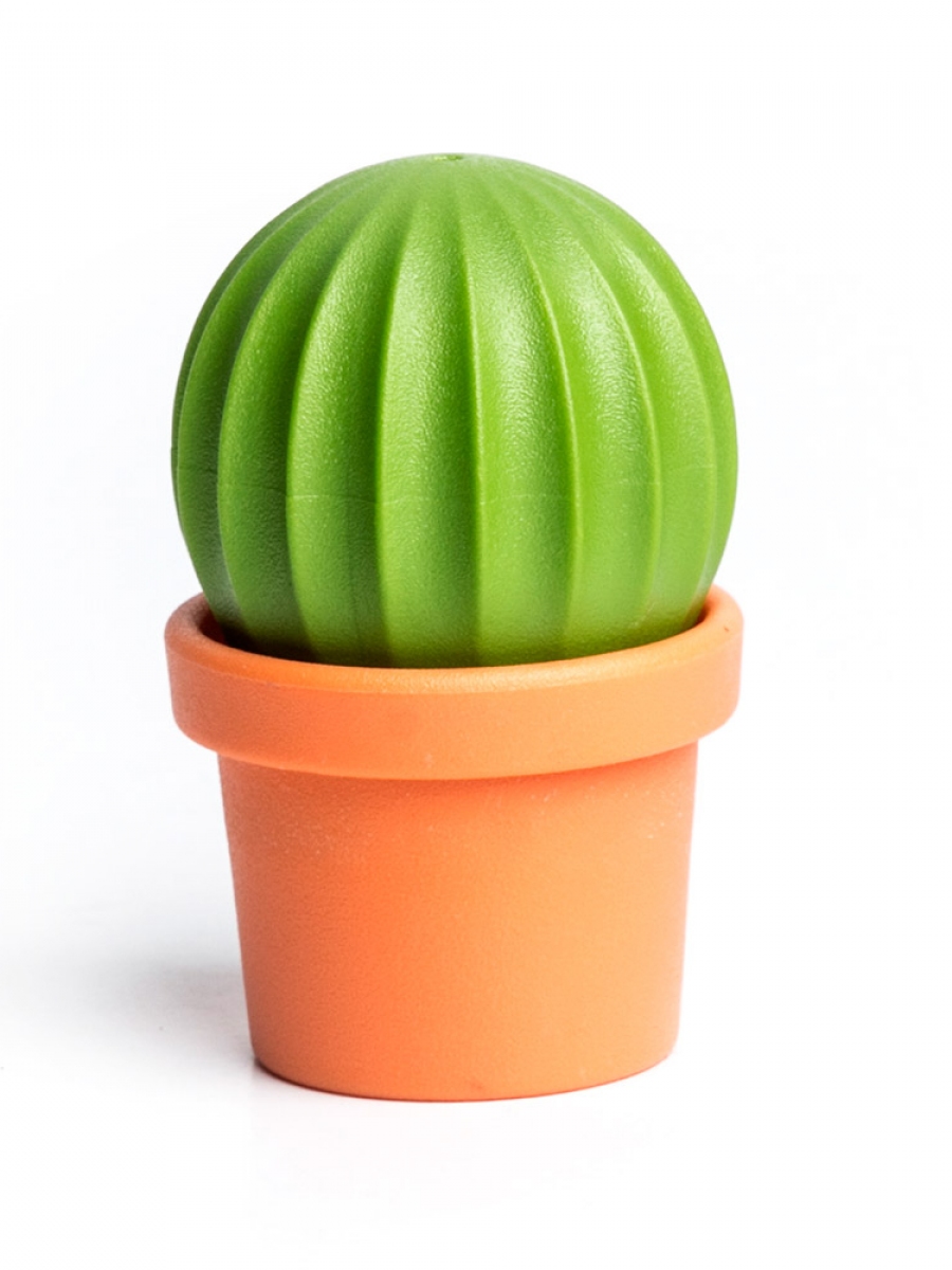 Набор для специй cactus